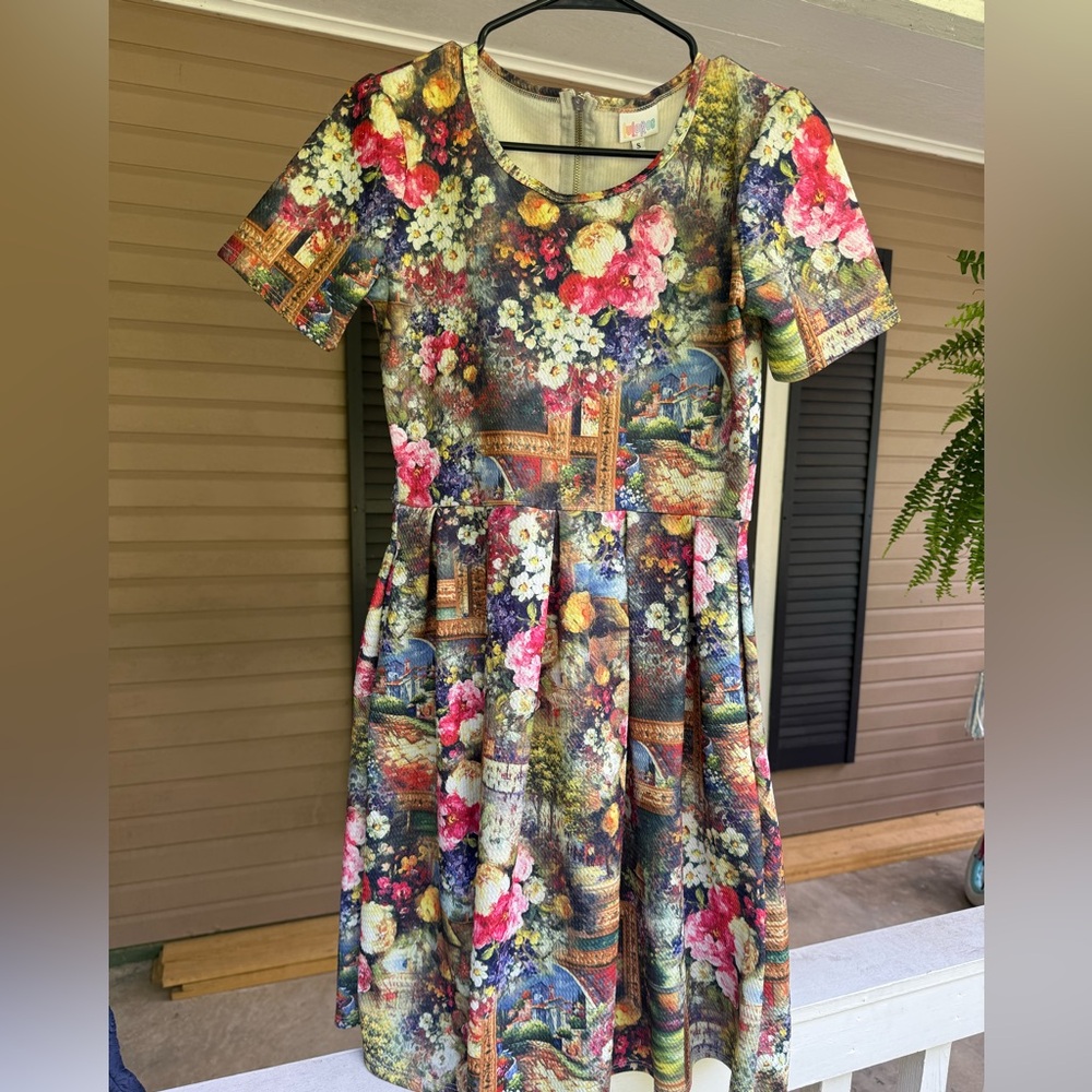 Lularoe Floral Amelia Dress - Flowers Frame Art Artwork Painting Pattern RARE - Picture 4 of 6